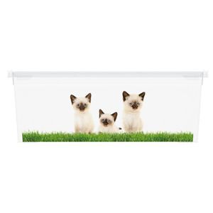 KIS Puppy and Kitten 57493 Plastový box - XS