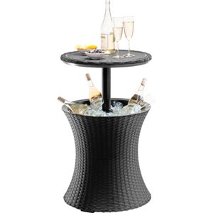 Chladící stolek Keter Cool Bar 17186745