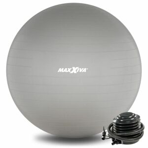 MAXXIVA® 81560 MAXXIVA Gymnastický míč Ø 75 cm s pumpičkou, stříbrný