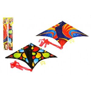 Drak létající plast 61 x 114 cm barevný